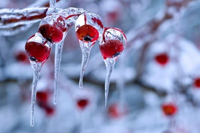 Wallpaper desktop nature winter winter nature photography nature backgrounds snow backgrounds 30044.jpg