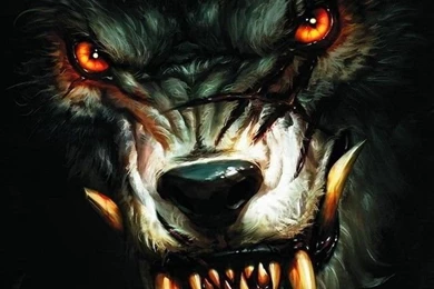 Download Angry Wolverine Wallpapers For iPhone 4