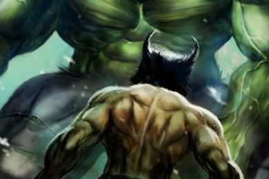 Hulk And Wolverine iPhone 5 Wallpapers (640x1136)