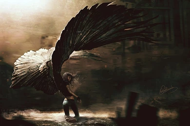 Fallen Angel Warrior Wallpapers