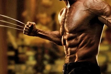 The Wolverine HD Wallpapers   IHD Wallpapers