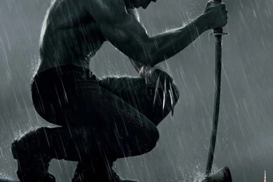 The Wolverine Movie 2013 HD Desktop Wallpapers : Widescreen : High ...