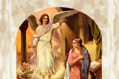 Virgin mary wallpapers 1306   Download   4shared   GIAO XU TAN DUC