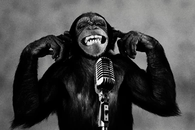 Download Monkeys Microphones Wallpapers 1024×768 Wallpoper 285429 ...