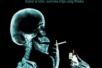 Funny Backgrounds Wallpapers   , New Wallpapers, New Wallpapers