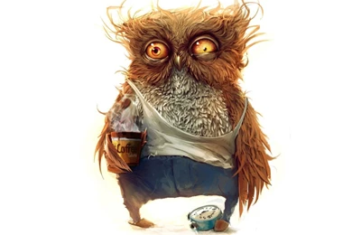 Wallpapers Funny Good Morning Owl   1280 X 1024   Strange Funny ...