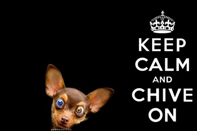 Great desktop wallpapers 18.jpg