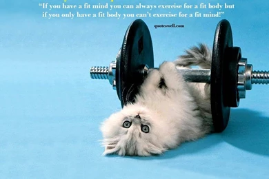 REALLY GOOD FUNNY QUOTES ABOUT LIFE Image Quotes At Relatably.com