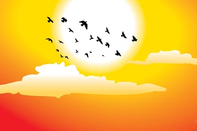 Funny good morning wallpaper download i17