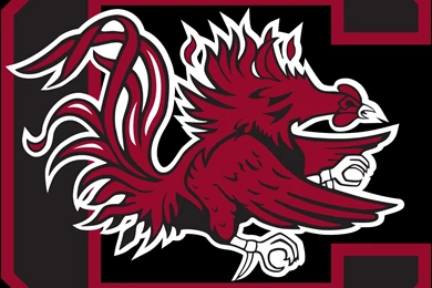 SOUTH CAROLINA GAMECOCKS College Football Wallpapers