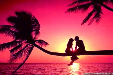 Romantic Wallpapers Free Download   HD WallpapersHD Wallpapers