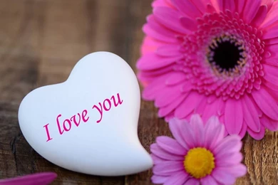 Obtain Free Love HD Wallpapers For PC   HD Images New
