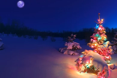 Christmas Backgrounds Wallpapers