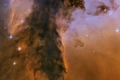 Wallpapers For iPhone 5   Find A Wallpaper, Backgrounds Or Lock ...