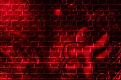 Free Fox Racing HD Wallpapers