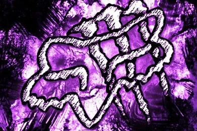 Cool Fox Wallpaper!!