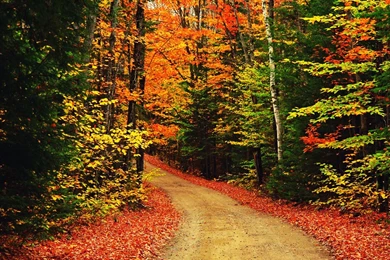 Fall Scenery Wallpapers   Wallpapers Cave