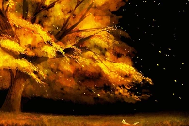 Autumn Scenery Wallpapers   (