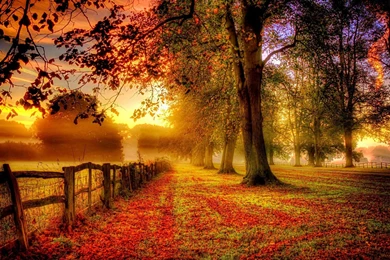 Thomas Bergersen Autumn Love Wallpapers   191453