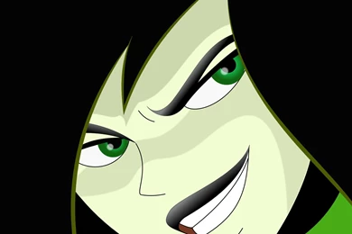 Kim Possible Shego Tv Cartoons Wallpapers (