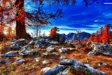 Beautiful Blue Sky Over The Autumn Scenery Wallpapers