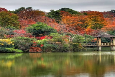 Autumn Screen Wallpapers   Wallpapers Cave