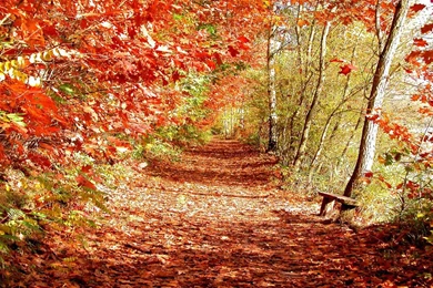 Wallpaper: Super Autumn Scenery Wallpapers