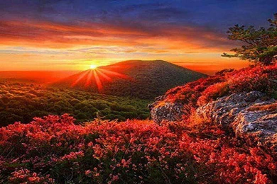 Beautiful Autumn Scenery   (