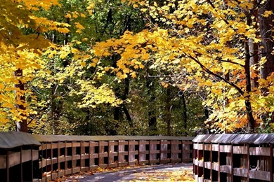 Gallery For   Fall Scenery Free Wallpapers