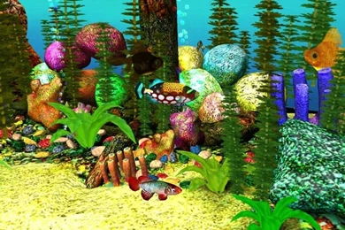 Free 3D Aquarium Screensaver   Download