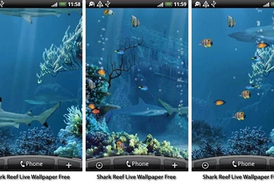 Best Aquarium And Fish Live Wallpapers For Android   Android Authority