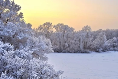 1366x768 Winter Wonderland Sunrise Desktop PC And Mac Wallpapers
