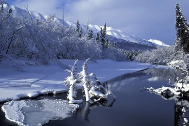 Free Wallpapers   Free Nature Wallpapers   Winter Wonderland 2 ...