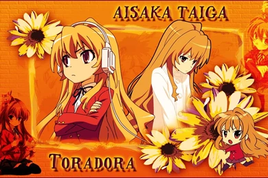 Taiga Aisaka Wallpapers