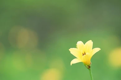 Category: Desktop HD Backgrounds