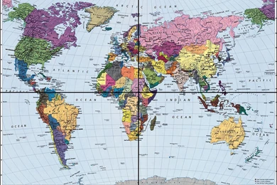 Political World Map Mural