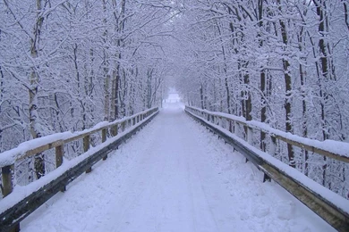 Winter Wonderland Wallpapers 2015   Grasscloth Wallpapers