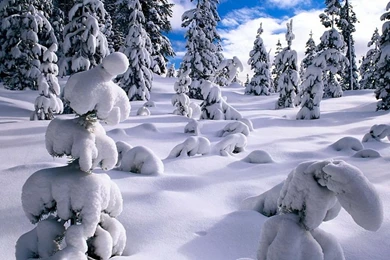 Free Winter Wallpaper Backgrounds To Warm Up The Desktop   Ibytemedia