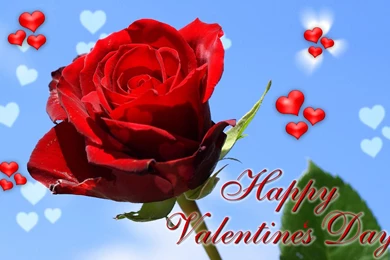 Happy Valentine's Day Cards And Wallpapers   Happy Valentine's Day ...