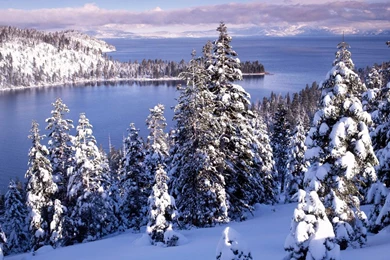 Winter Wonderland : Dreamy Snow Scene Wallpapers 1440x900 NO.11 ...