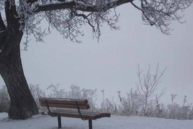 Frosty Winter Wonderland Wallpapers