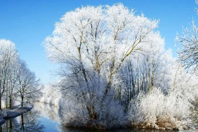 Winter Wonderland HD Desktop Wallpapers : Widescreen : High ...