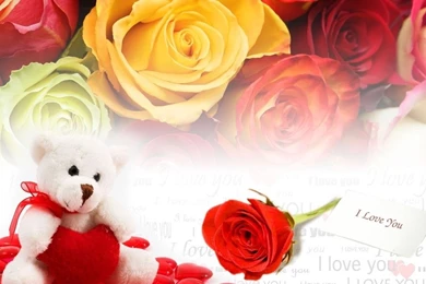 Happy Valentines Day Rose   HD Beautiful Desktop Wallpapers