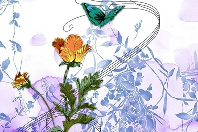 Flowers Illustration : Butterfly And Flowers 5   Wallcoo.net