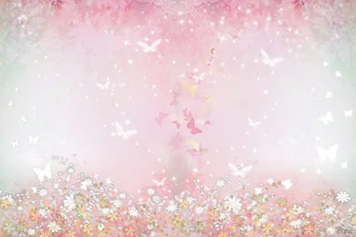 41 Butterfly HD Wallpapers