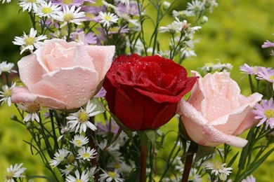 1920x1200   Page 936