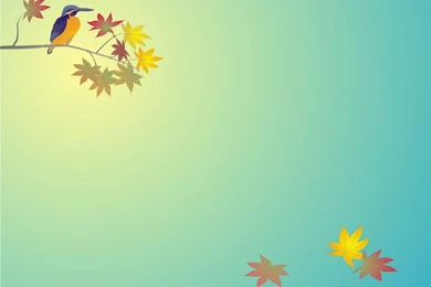 Animal Backgrounds Wallpapers   173278