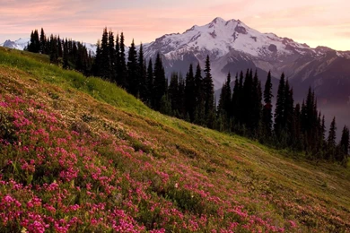 Mountain Backgrounds Pictures   Wallpapers Cave