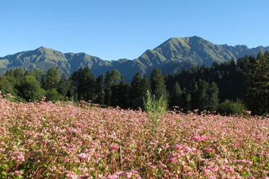 Mountain Backgrounds   1306009