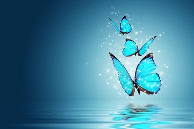 Mood Butterfly Butterfly Magic Magic Butterfly Backgrounds Blue ...
